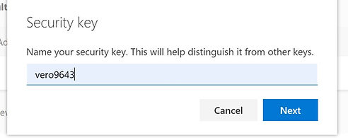 Security Key.jpg