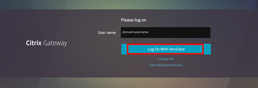 Citrix Gateway login page_edited.png