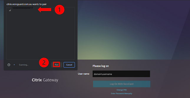 Citrix pairing screen.png